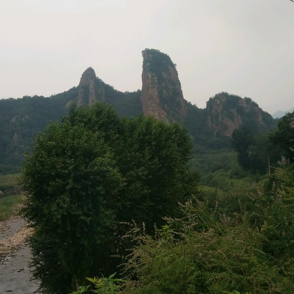 一冉