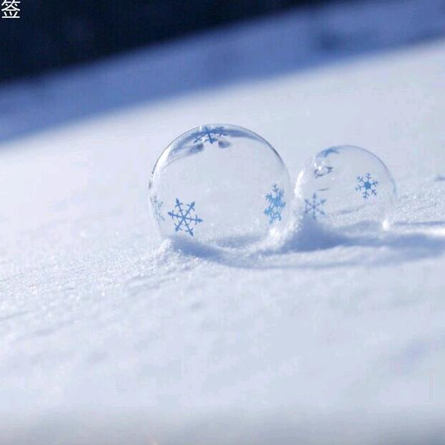 叶子