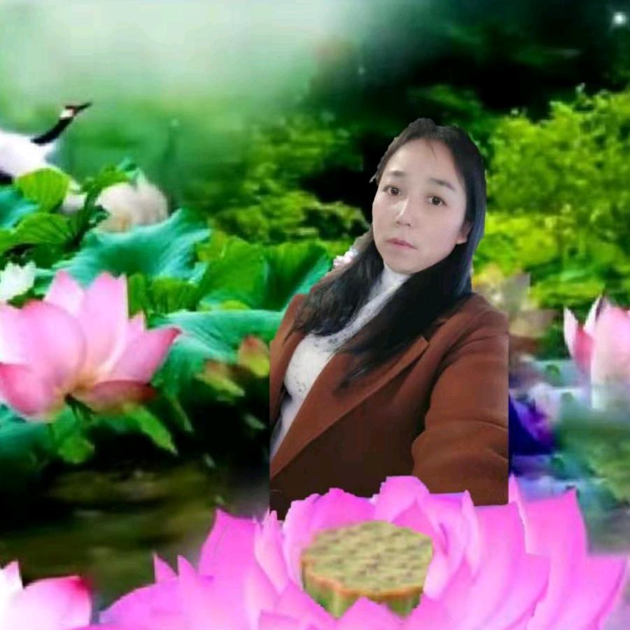 🌺一起🌸度过🌸周