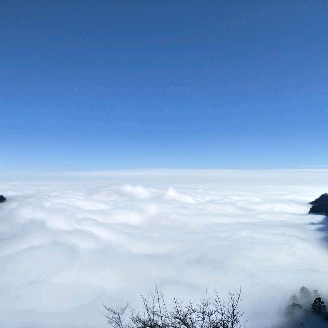 那时情深