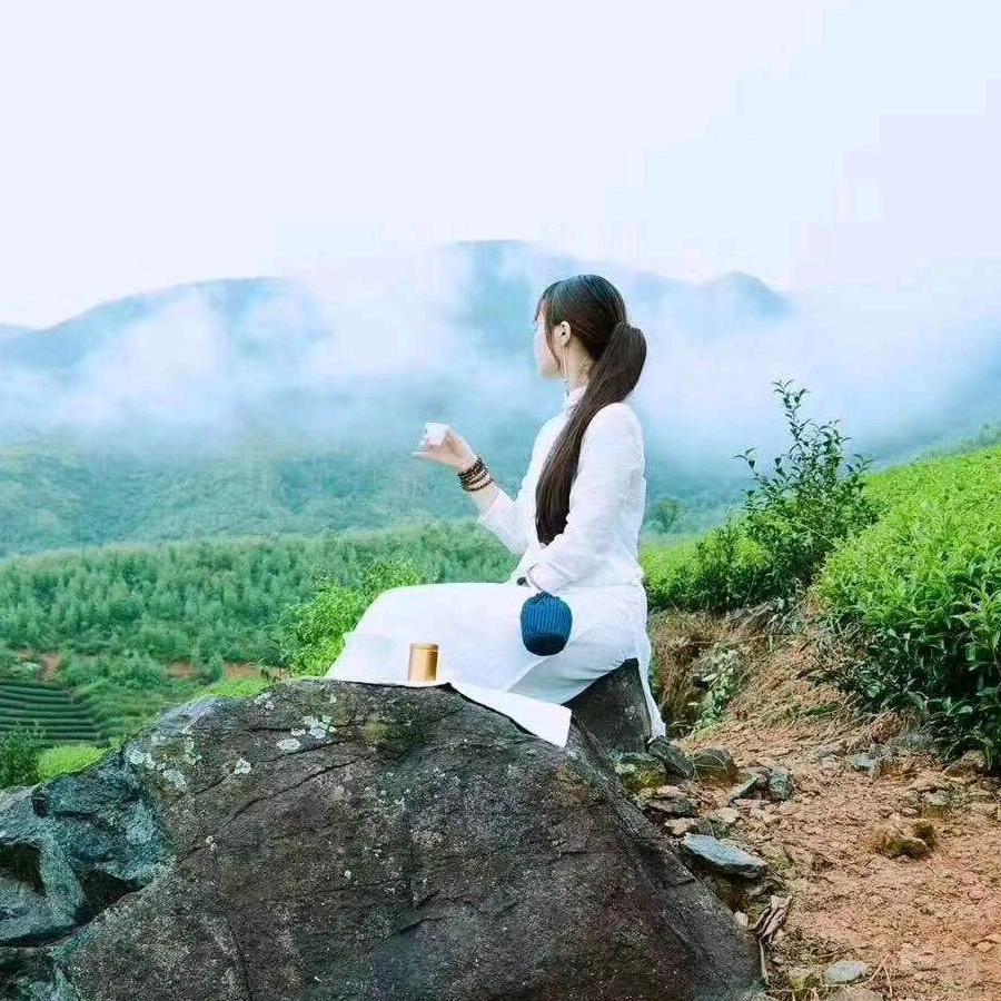 开心果  好物
