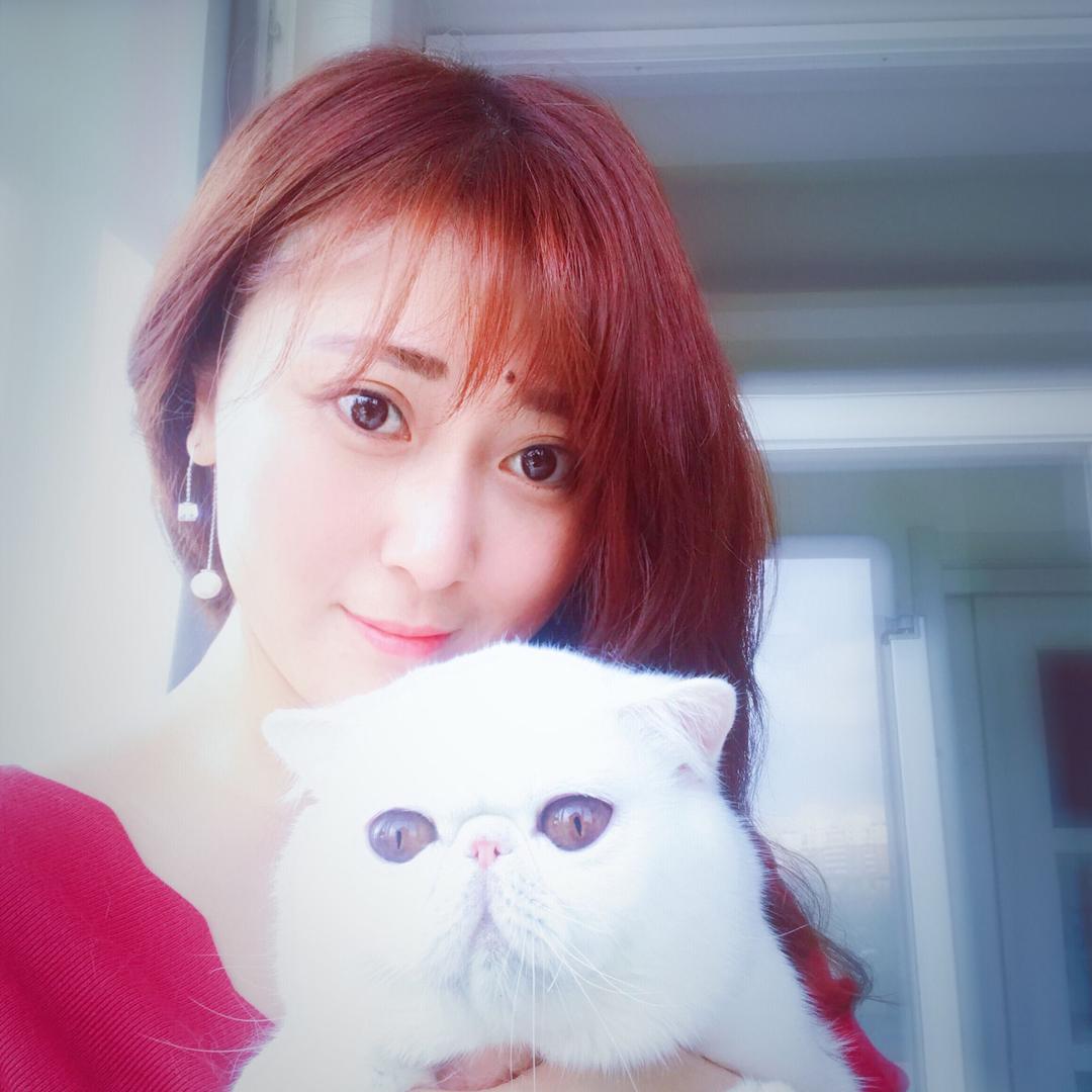 梦梦的猫猫舍