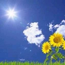 🍀未来可期🍀