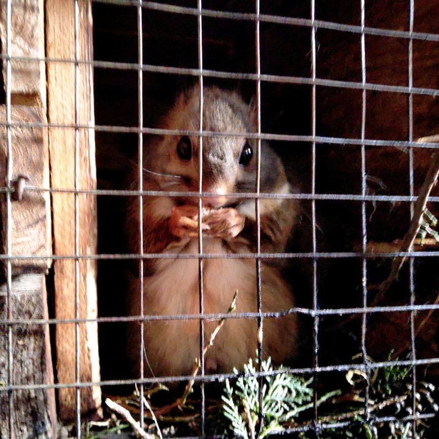 张子芸🥀এ᭄累了ꦿ谁💔疼ོ࿐ᩚ