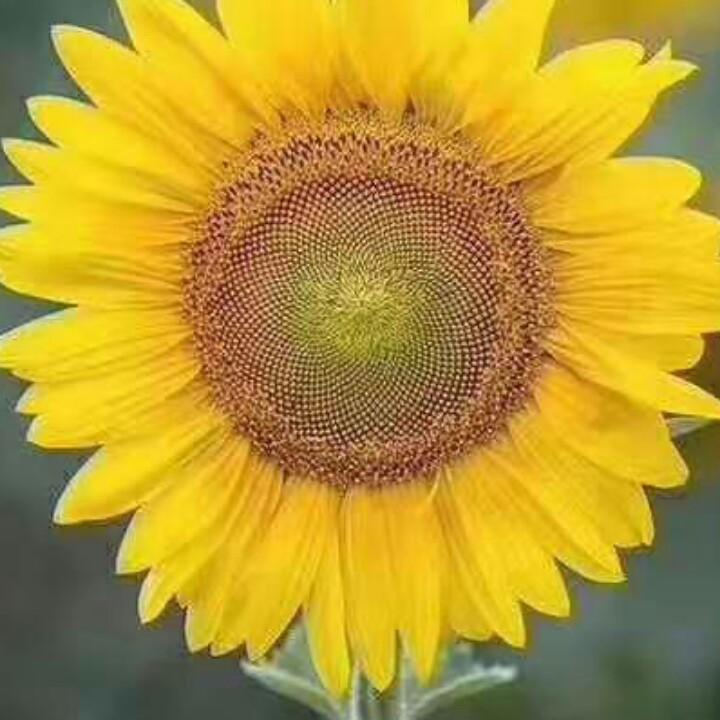 💝