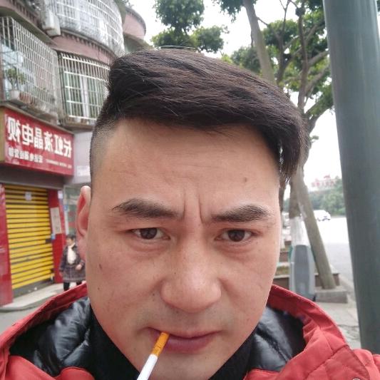 草原的雄鹰