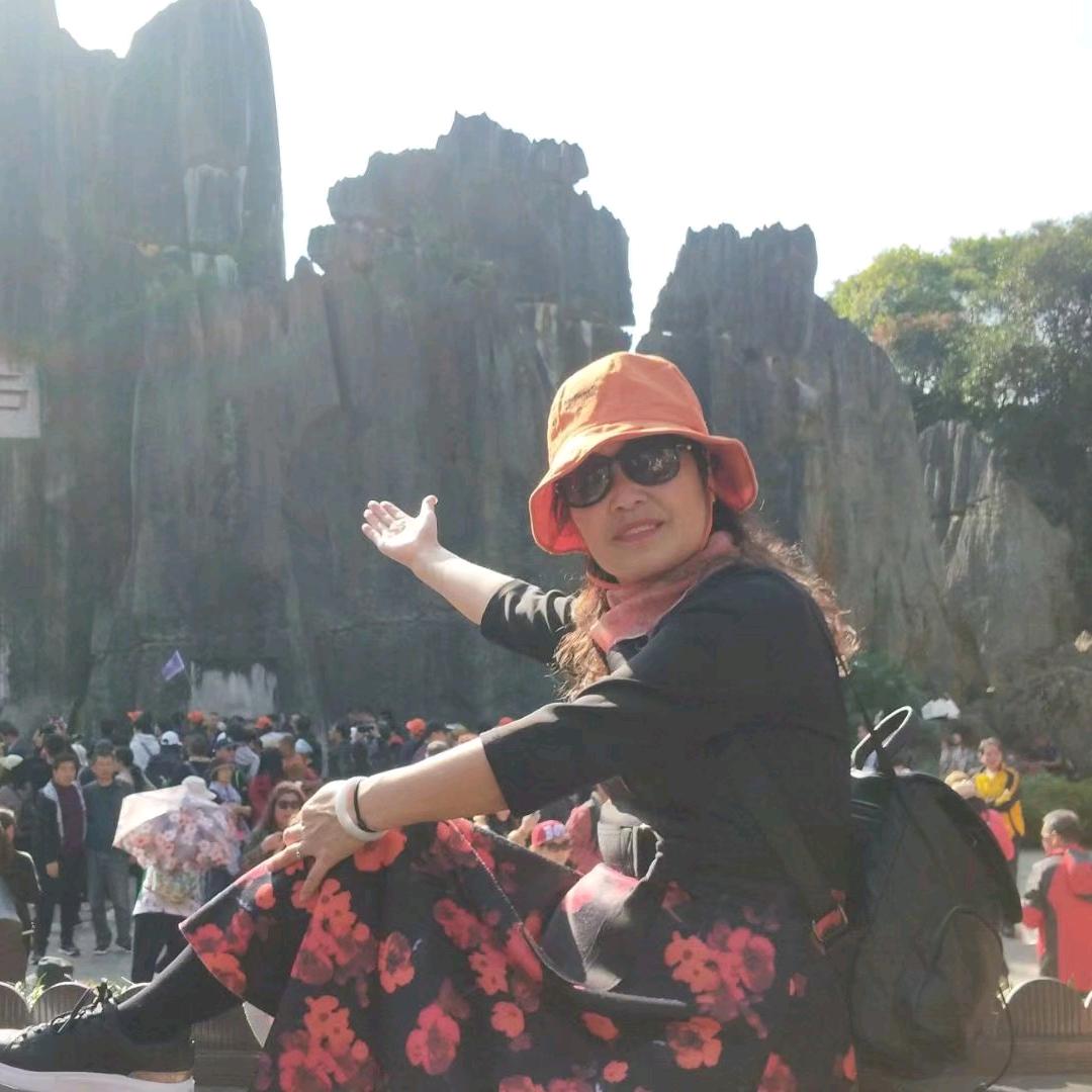 森林的一缕阳光