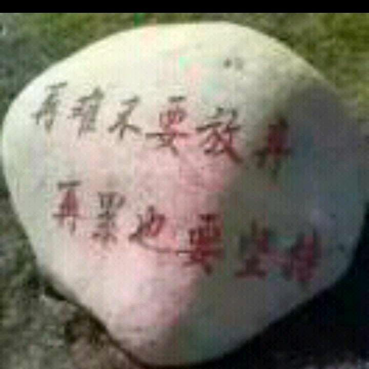 因为有你🌸