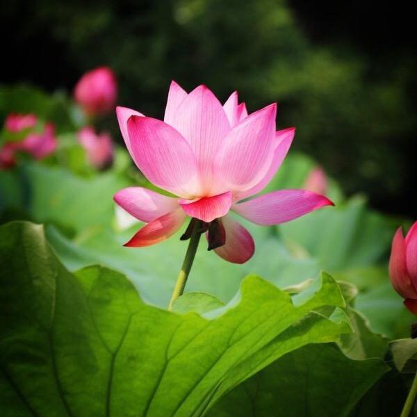 益水堂特色中药头疗