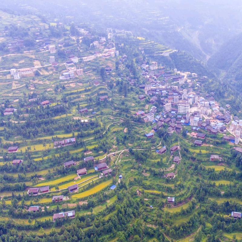 一切随缘，，，