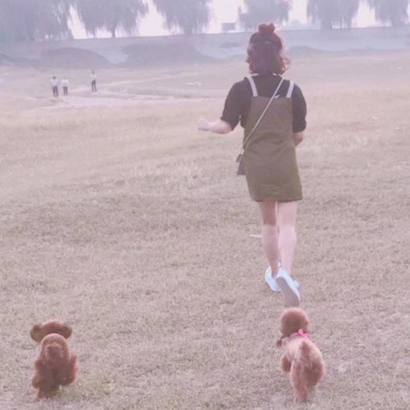 不完美小姐的美梦