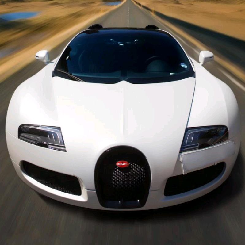 丁丁钻💎💎💎