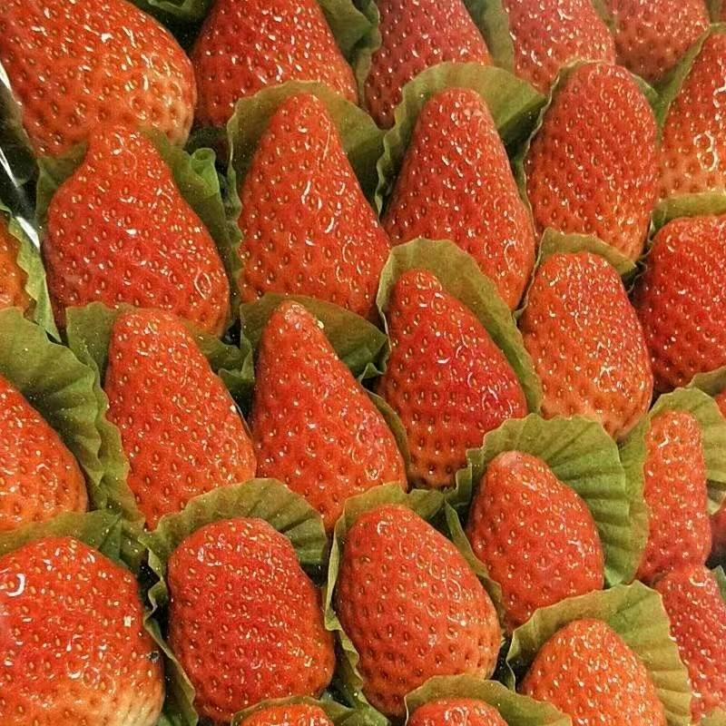 开心