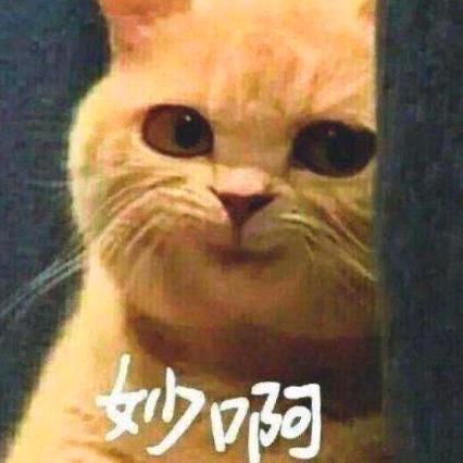 贝唇齿