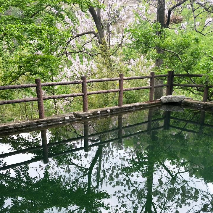 艳阳高照