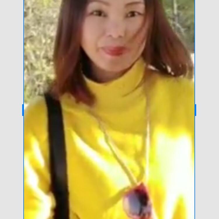 林木木