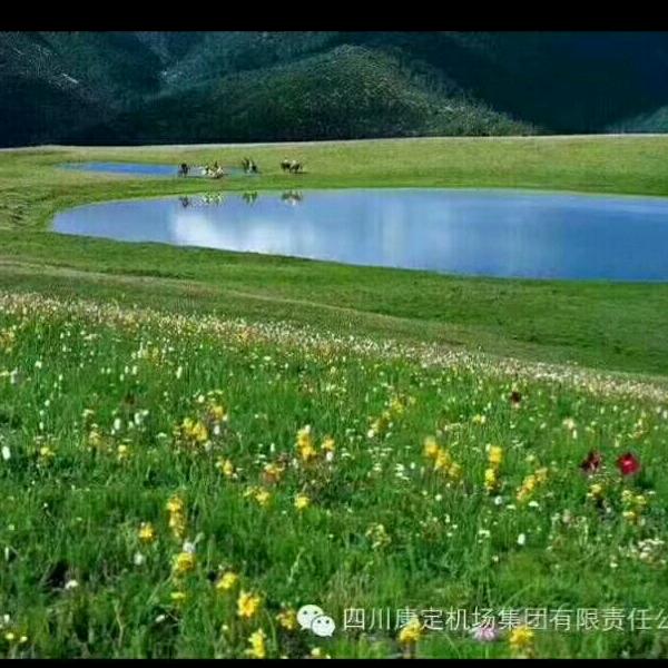尼玛次仁