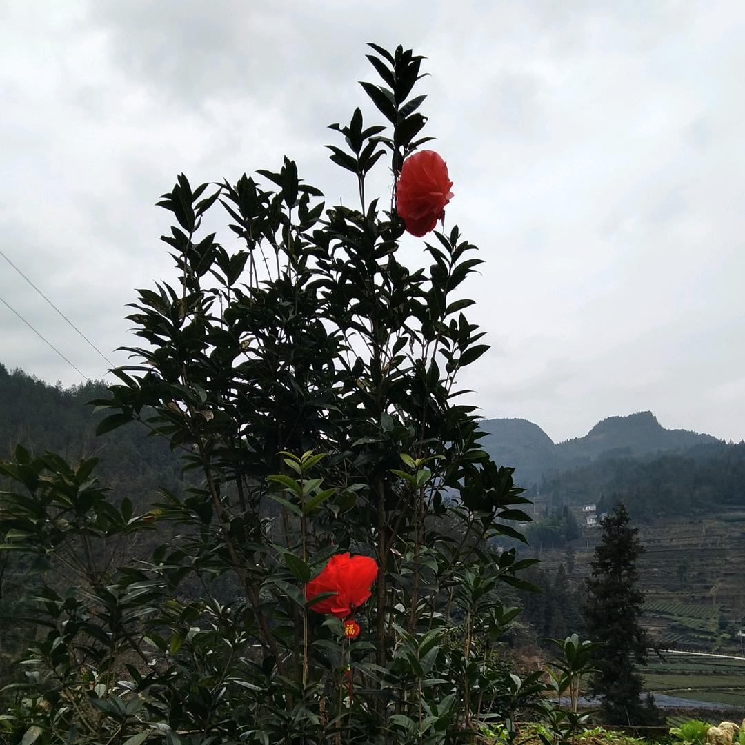 幸福快乐
