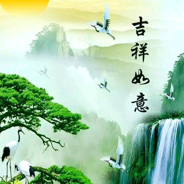 飞鹰