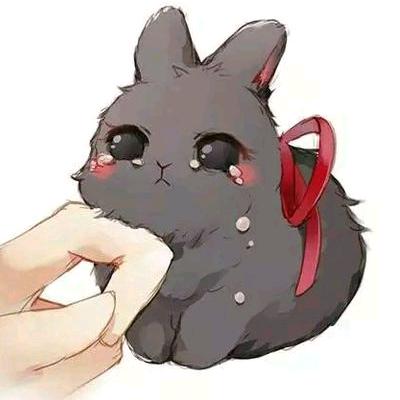 雪宝❤️