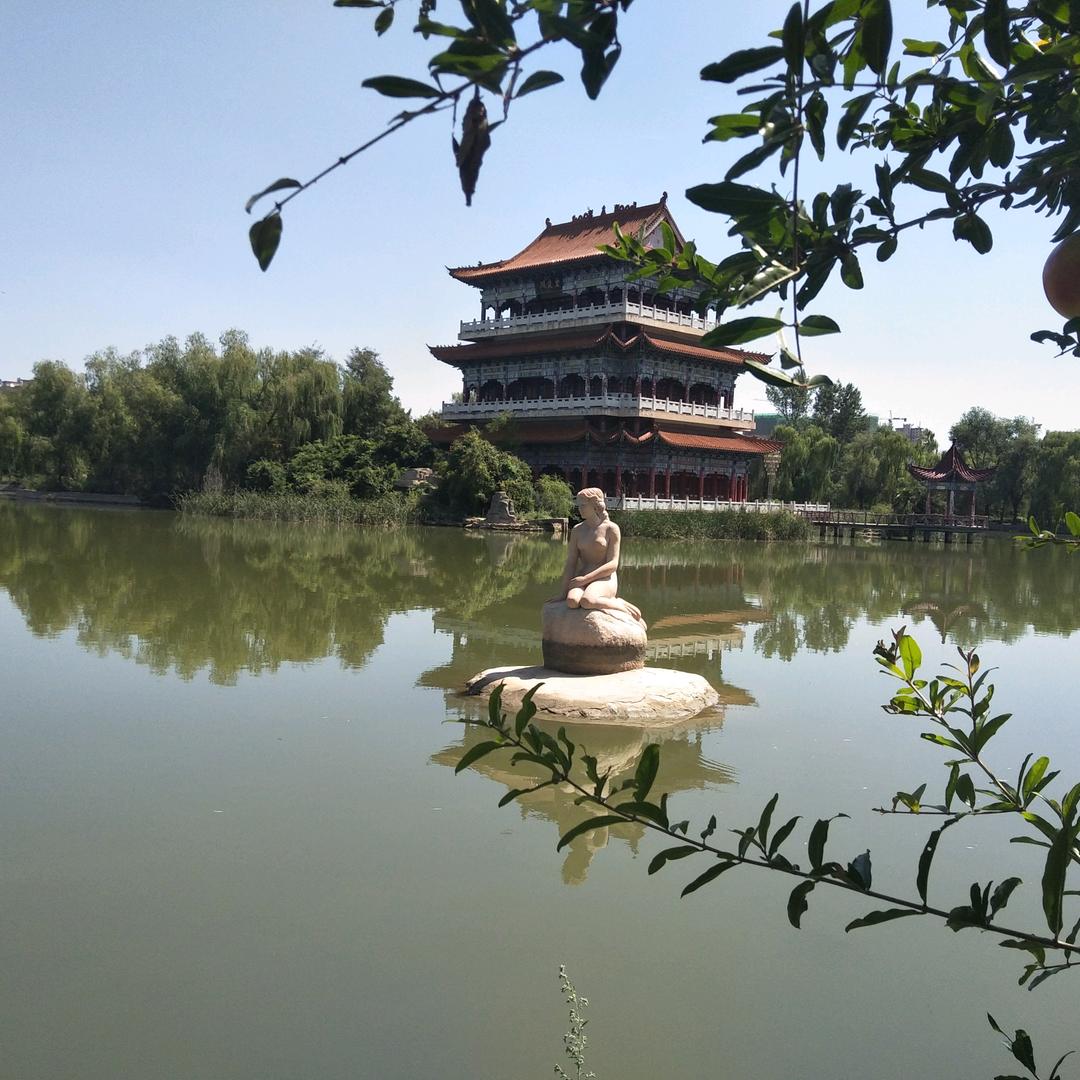 酒美月儿高.歌儿随风飘～~~
