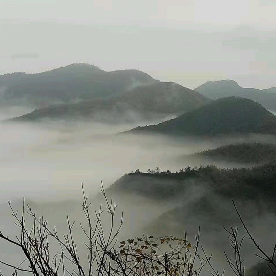 飞翔