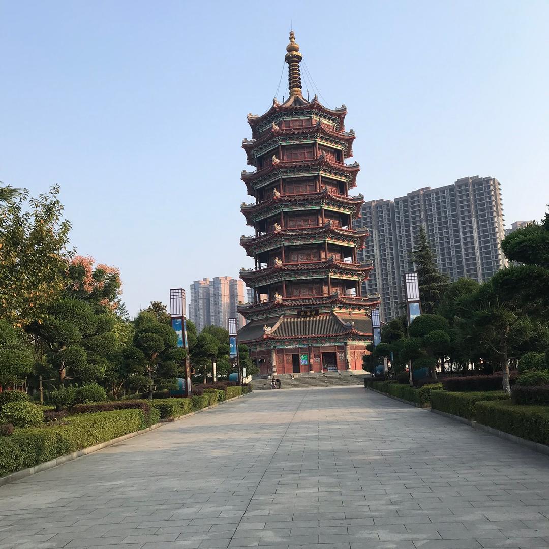 彪哥