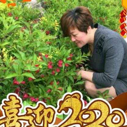 菁颜无痕