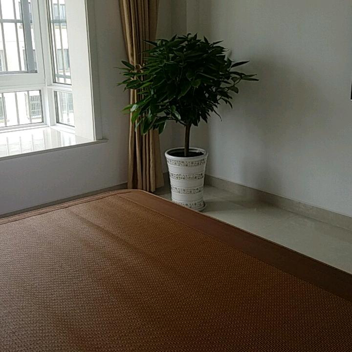 东山头晒太阳