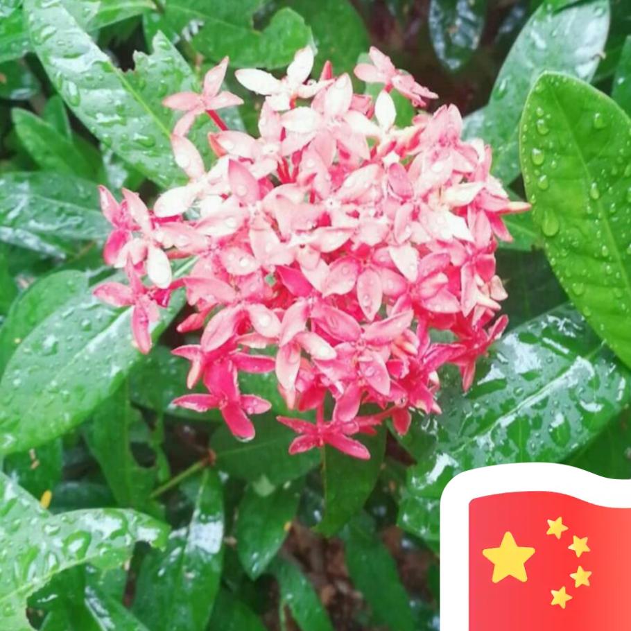 梁 🌾