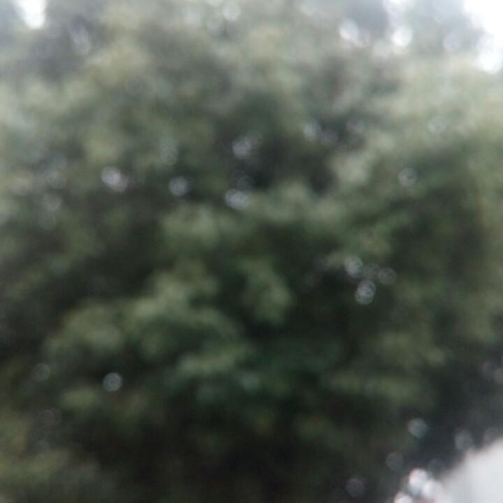 冬天