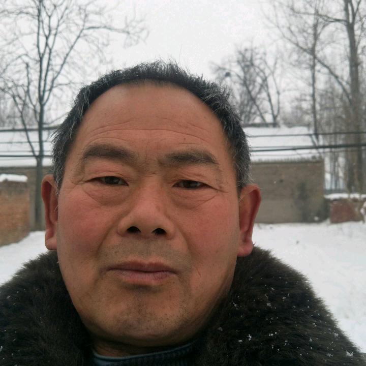 老贾的快乐时光