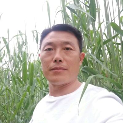 岚皋孟石岭苏哥