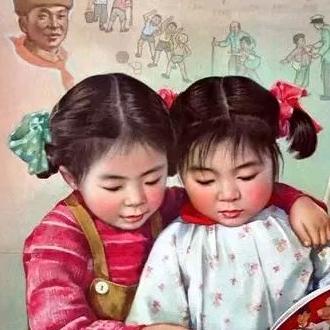 菜菜籽