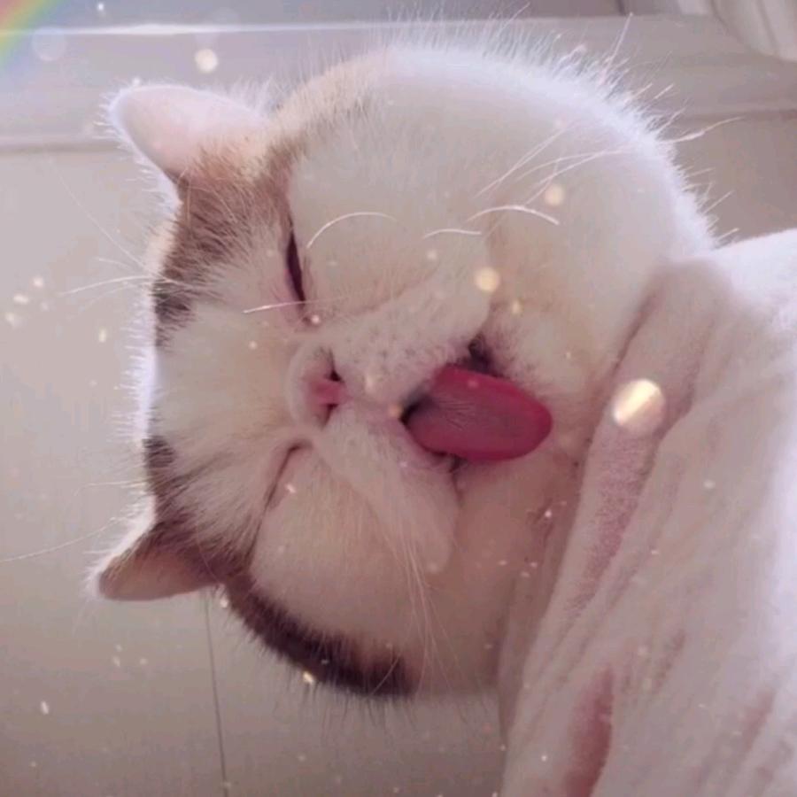 ❤～