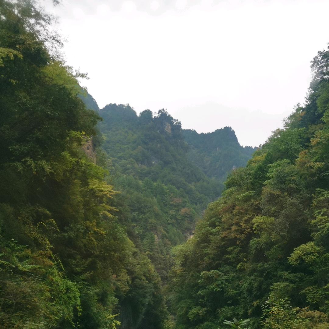 章瑞