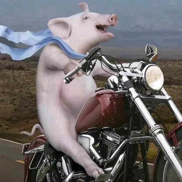 涛涛不想上班🤑