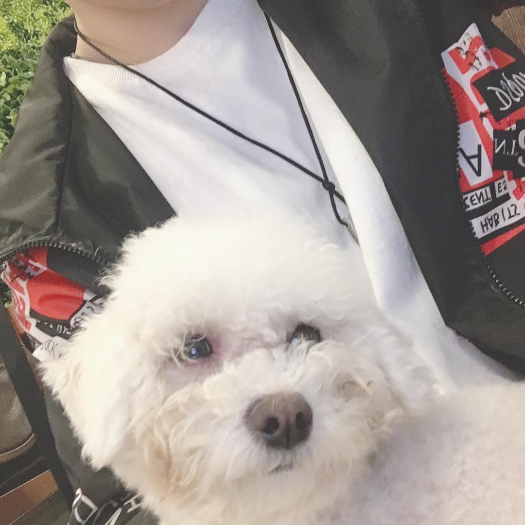 朱邪夙秋