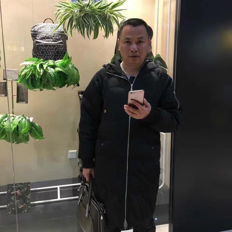 燕子在自由飞翔