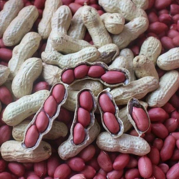 鸿亚家具店，承担室内装修正屋定制家具