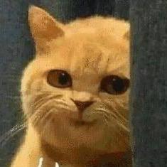 仌余