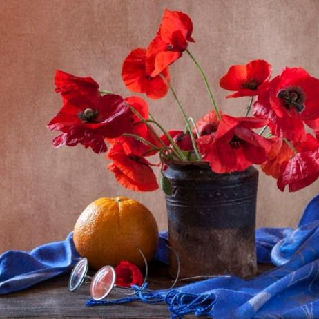 ：风雨之后现彩虹