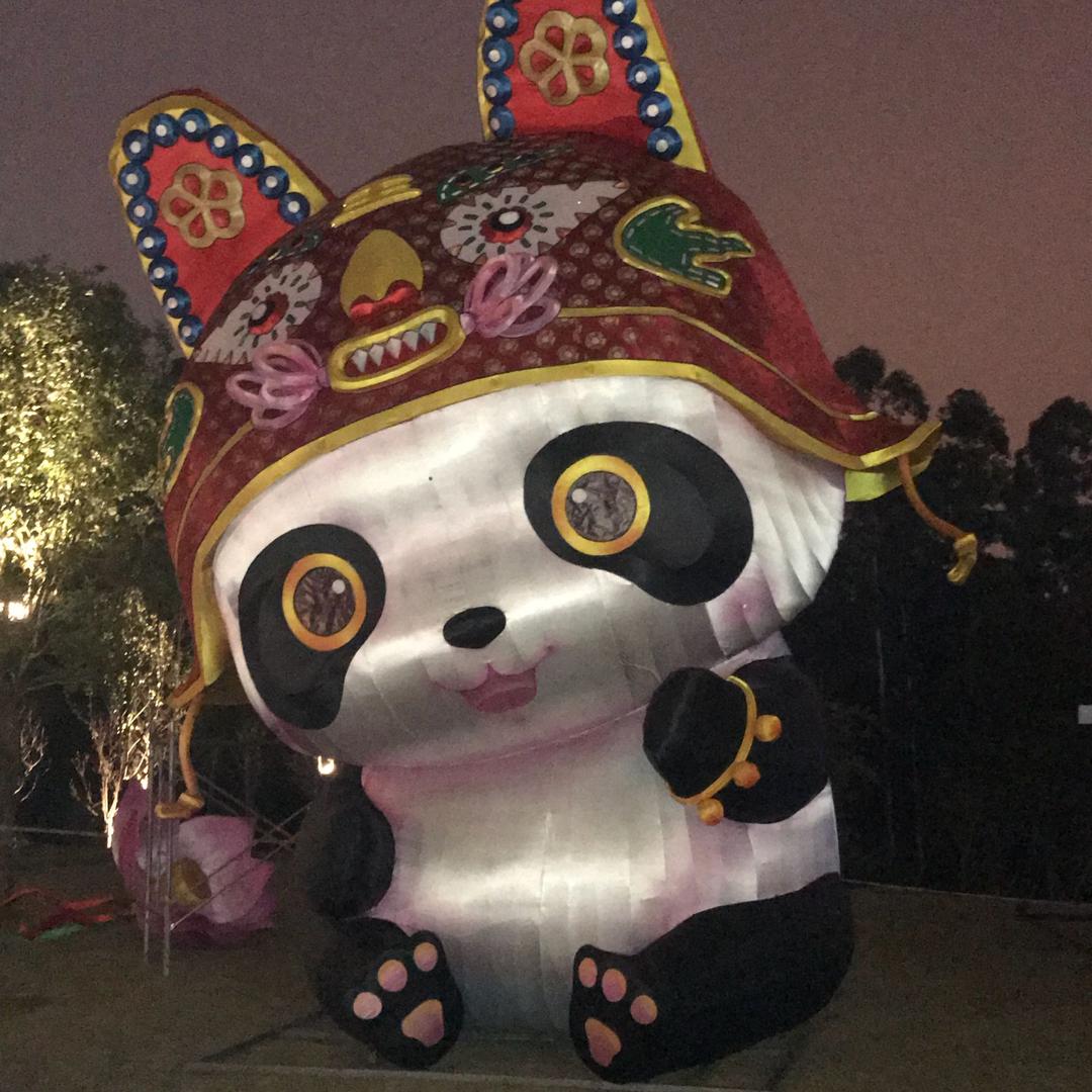 晨曦啊