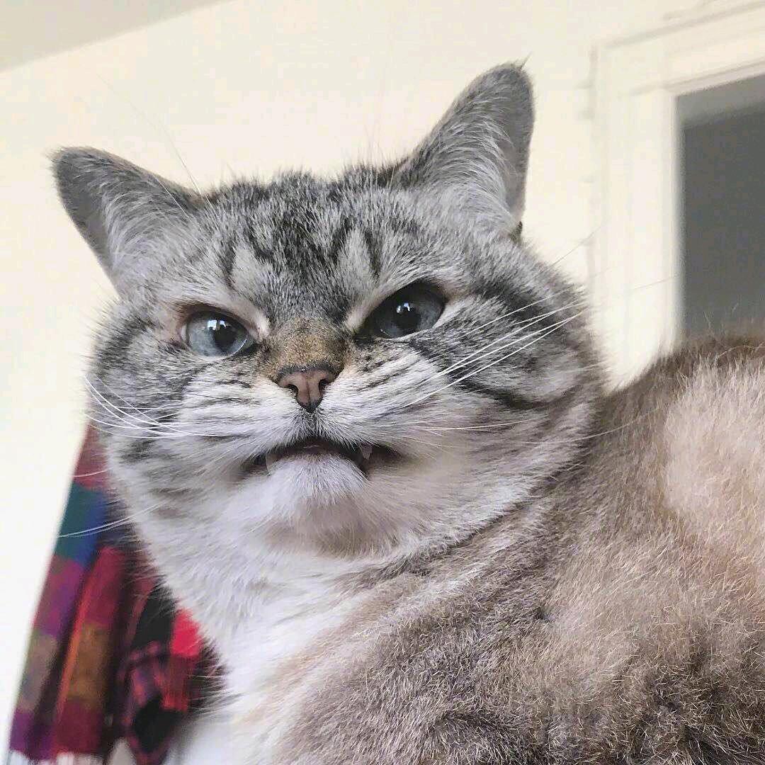 东日