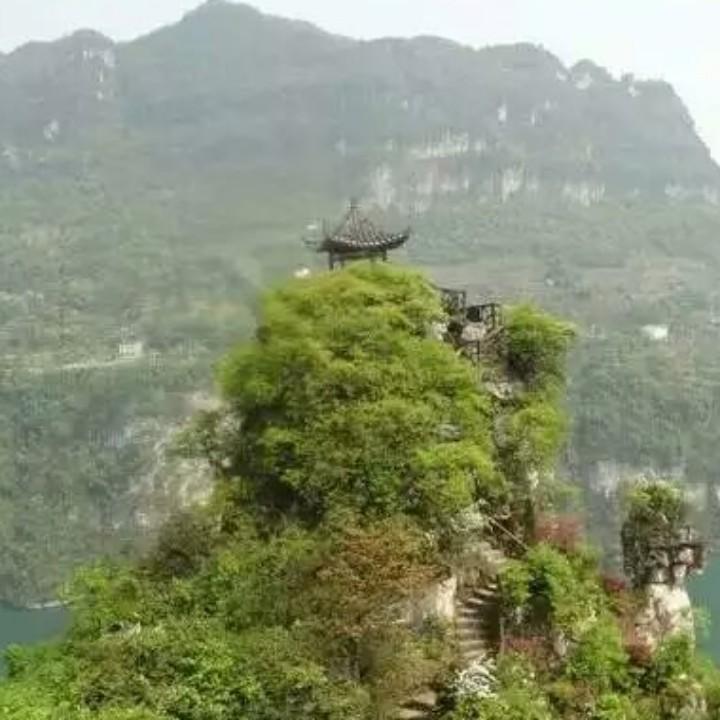 顺芯汗蒸🌻🌻⭐️