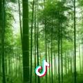 标签审核-金老师