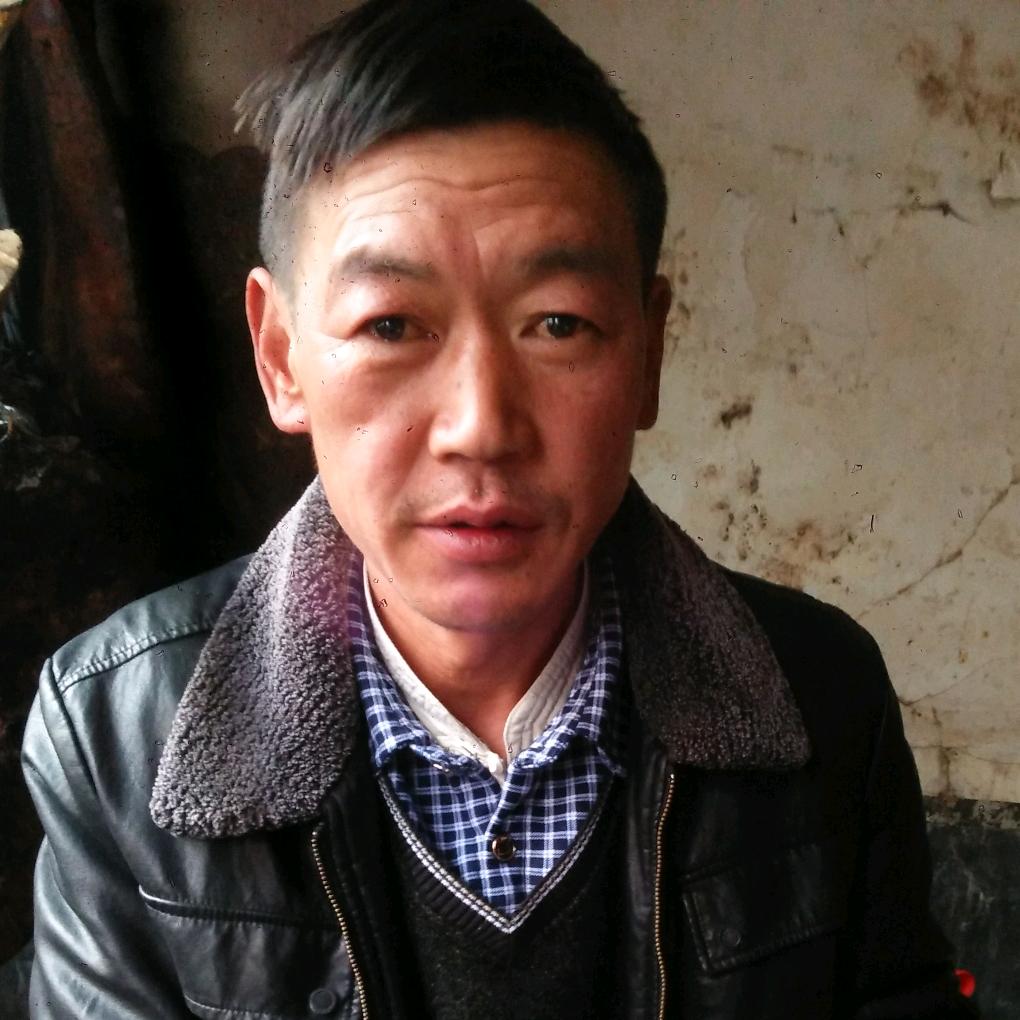 心飞杨