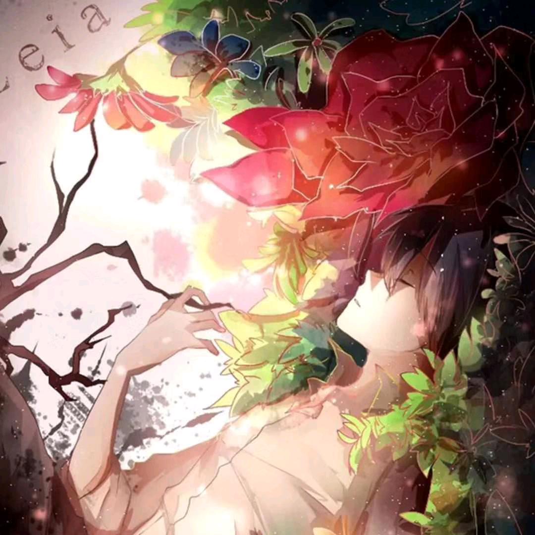 云杰