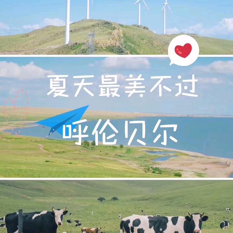醉美呼伦贝尔
