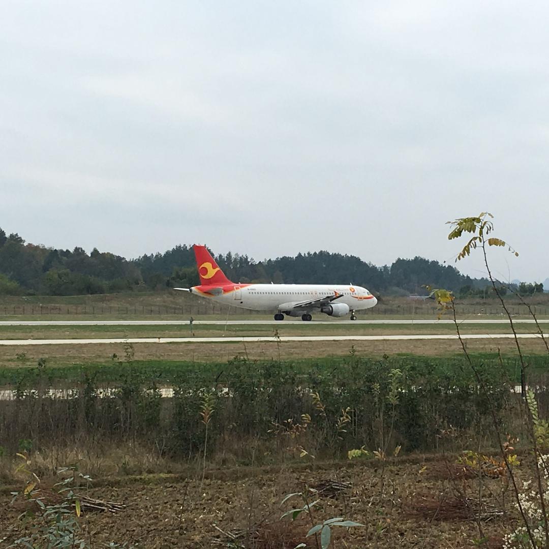 ℒℴѵℯ仲春柳浪闻莺এ⁵²º᭄এ